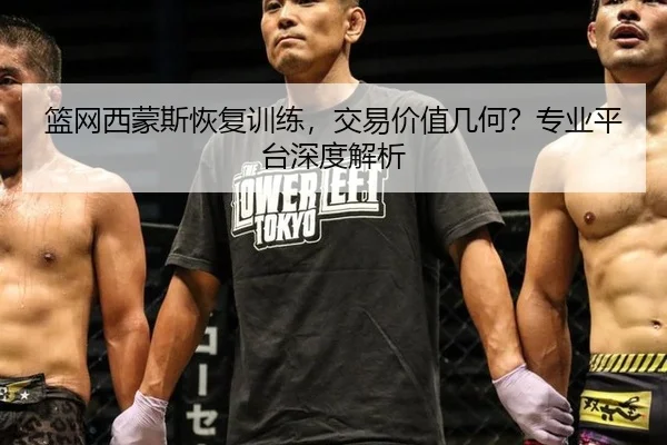 篮网西蒙斯恢复训练，交易价值几何？专业平台深度解析